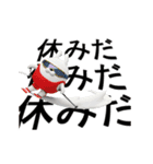 動く 3D擦れうさぎ（冬）（個別スタンプ：17）