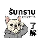 フレンチブルドックのタイ語と日本語会話（個別スタンプ：1）