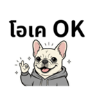 フレンチブルドックのタイ語と日本語会話（個別スタンプ：4）