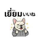 フレンチブルドックのタイ語と日本語会話（個別スタンプ：17）