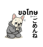 フレンチブルドックのタイ語と日本語会話（個別スタンプ：31）