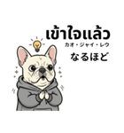 フレンチブルドックのタイ語と日本語会話（個別スタンプ：36）