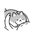 動く！ハスキーと飼い主（個別スタンプ：2）