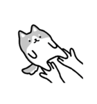 動く！ハスキーと飼い主（個別スタンプ：7）