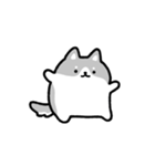 動く！ハスキーと飼い主（個別スタンプ：13）