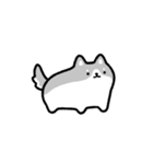 動く！ハスキーと飼い主（個別スタンプ：19）