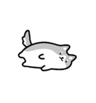 動く！ハスキーと飼い主（個別スタンプ：20）