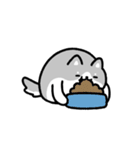 動く！ハスキーと飼い主（個別スタンプ：22）