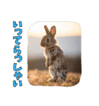 うさぎ生活100%（個別スタンプ：2）