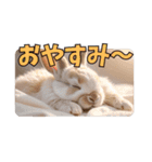 うさぎ生活100%（個別スタンプ：5）