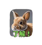 うさぎ生活100%（個別スタンプ：10）