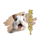 うさぎ生活100%（個別スタンプ：19）