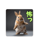 うさぎ生活100%（個別スタンプ：21）