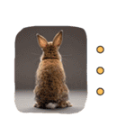 うさぎ生活100%（個別スタンプ：23）