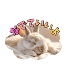 うさぎ生活100%（個別スタンプ：24）