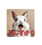 うさぎ生活100%（個別スタンプ：25）