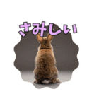 うさぎ生活100%（個別スタンプ：26）