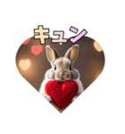 うさぎ生活100%（個別スタンプ：29）