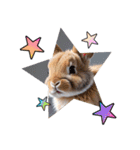 うさぎ生活100%（個別スタンプ：35）