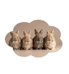 うさぎ生活100%（個別スタンプ：36）