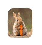 うさぎ生活100%（個別スタンプ：39）