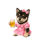 アイドルになった黒柴の赤ちゃん（個別スタンプ：11）