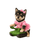 アイドルになった黒柴の赤ちゃん（個別スタンプ：12）