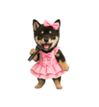 アイドルになった黒柴の赤ちゃん（個別スタンプ：26）