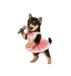 アイドルになった黒柴の赤ちゃん（個別スタンプ：35）