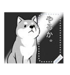 しば犬コミックDays（個別スタンプ：1）