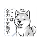 しば犬コミックDays（個別スタンプ：4）