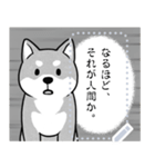 しば犬コミックDays（個別スタンプ：8）