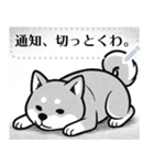 しば犬コミックDays（個別スタンプ：11）