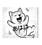 しば犬コミックDays（個別スタンプ：16）