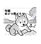 しば犬コミックDays（個別スタンプ：17）