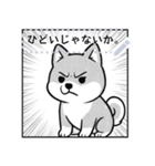 しば犬コミックDays（個別スタンプ：18）