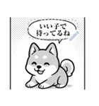 しば犬コミックDays（個別スタンプ：19）