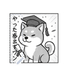 しば犬コミックDays（個別スタンプ：21）