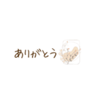 北欧風♡やさしい敬語スタンプ♩（個別スタンプ：1）