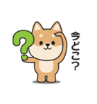 家族連絡用〇しばいぬのスタンプ2（個別スタンプ：2）