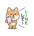 家族連絡用〇しばいぬのスタンプ2（個別スタンプ：6）