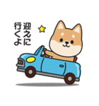 家族連絡用〇しばいぬのスタンプ2（個別スタンプ：9）