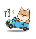 家族連絡用〇しばいぬのスタンプ2（個別スタンプ：11）