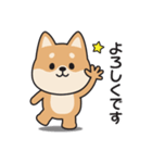 家族連絡用〇しばいぬのスタンプ2（個別スタンプ：12）