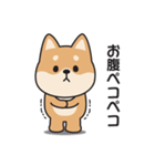 家族連絡用〇しばいぬのスタンプ2（個別スタンプ：15）