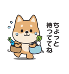 家族連絡用〇しばいぬのスタンプ2（個別スタンプ：20）