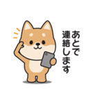 家族連絡用〇しばいぬのスタンプ2（個別スタンプ：24）