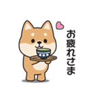 家族連絡用〇しばいぬのスタンプ2（個別スタンプ：25）