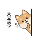 家族連絡用〇しばいぬのスタンプ2（個別スタンプ：27）