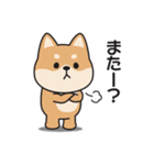 家族連絡用〇しばいぬのスタンプ2（個別スタンプ：31）